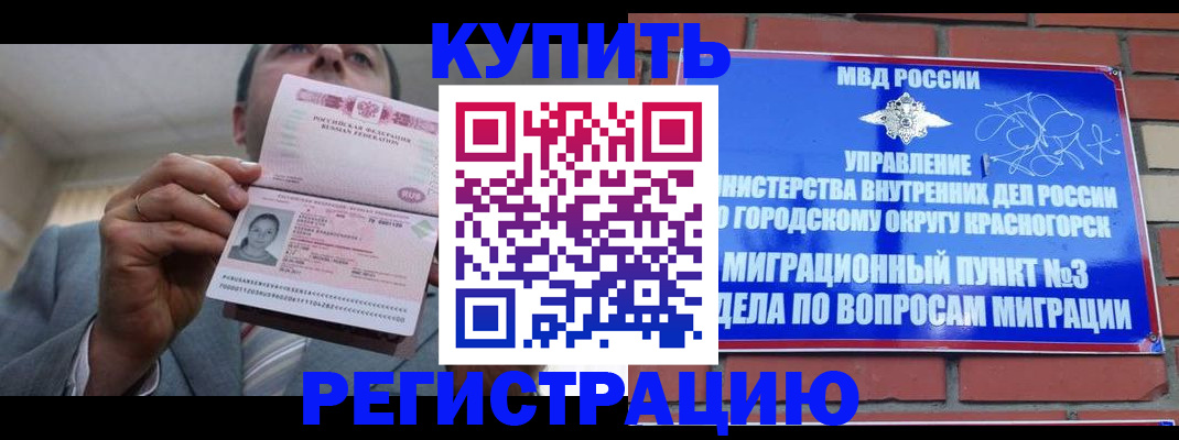 прописка в Оленегорске